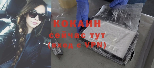 стаф Новозыбков