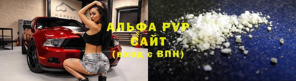 стаф Новозыбков