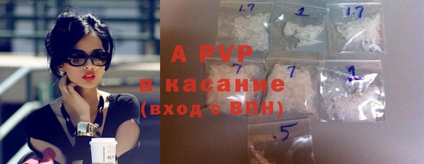 гашик Новодвинск