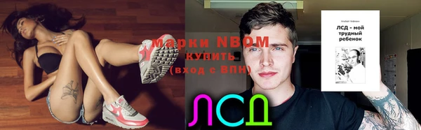 стаф Новозыбков