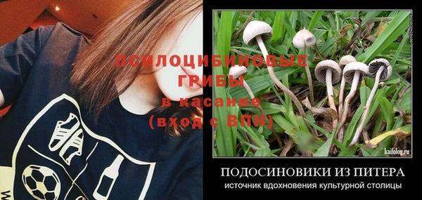 гашик Новодвинск
