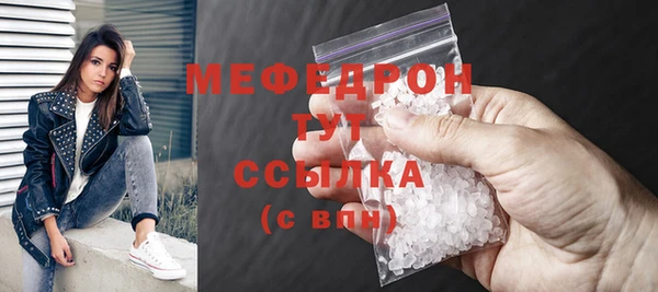 стаф Новозыбков