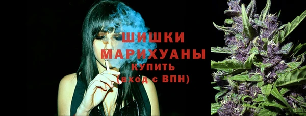стаф Новозыбков