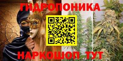 эйфоретик Гусиноозёрск