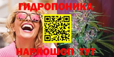 прущая мука Гусев