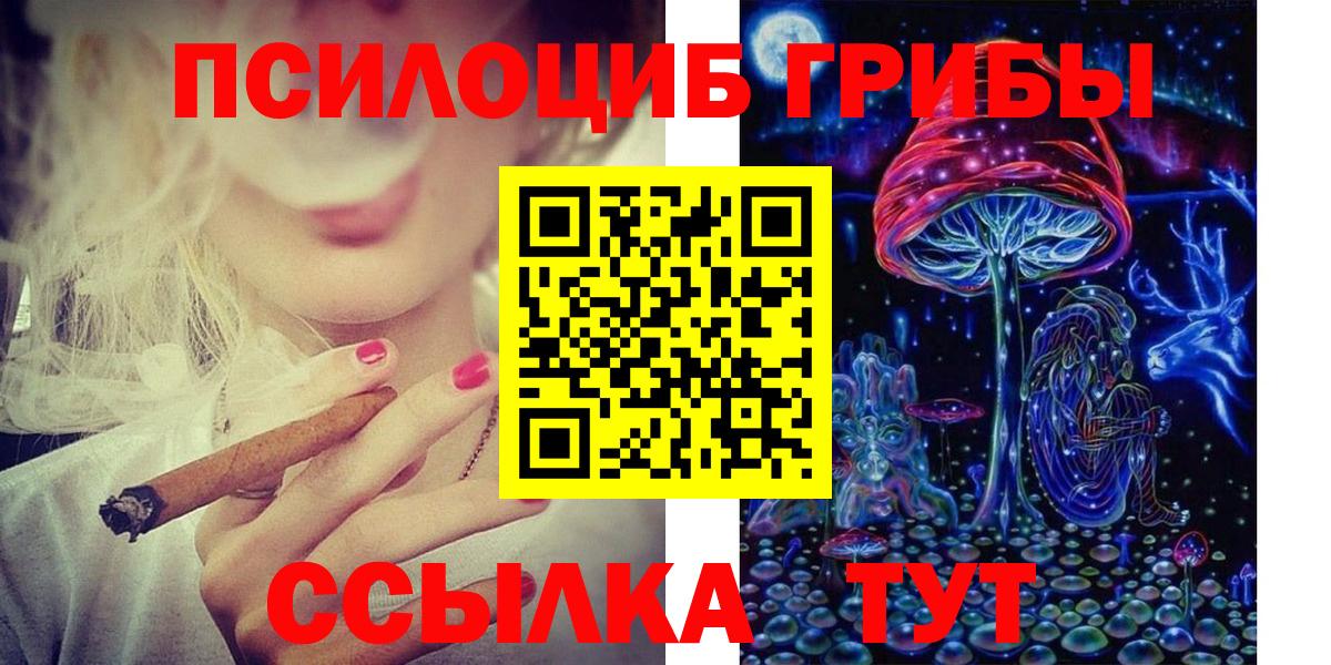Галлюциногенные грибы прущие грибы Кольчугино