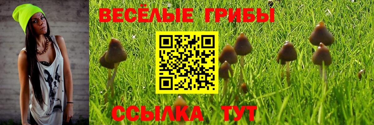 COCAIN  Кольчугино  Вход с VPN  Кокаин  Где продают наркотики?  ГАШИШ  Бошки Шишки  Мефедрон 