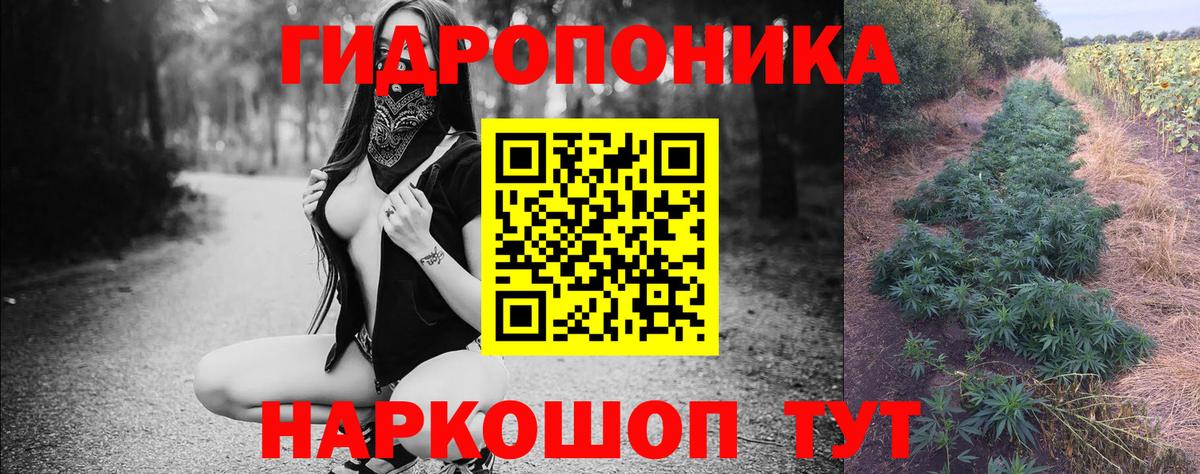 Бошки Шишки MAZAR  Бошки марихуана Bruce Banner  Бошки Шишки Bruce Banner  Кольчугино  Каннабис SATIVA & INDICA 